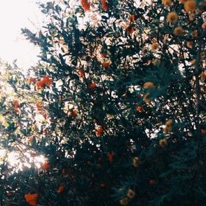 Meet your Posher, Celia